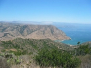 Whites Catalina 2005 04895.JPG: 2005/07/25 - Catalina - 2005